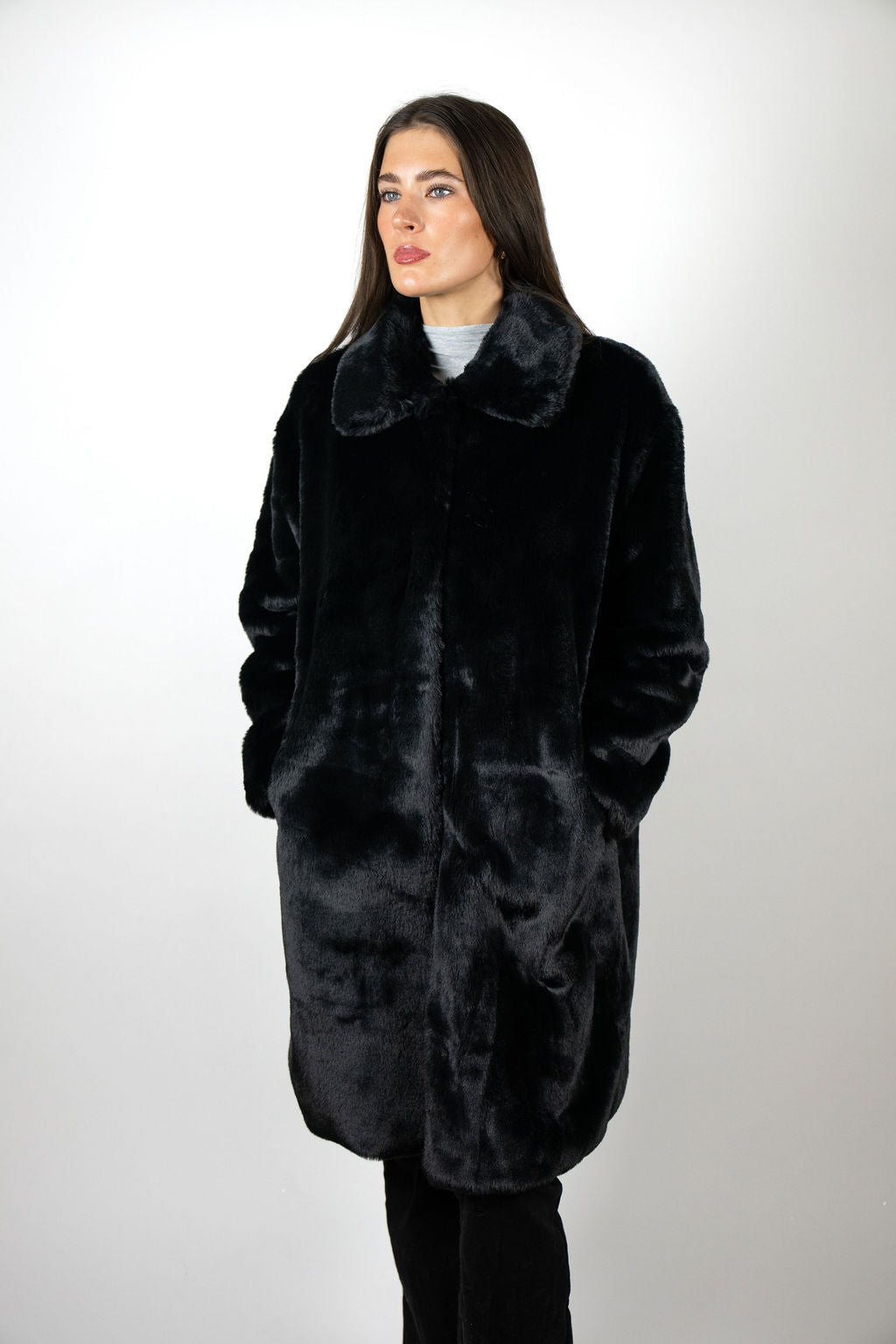 Mr Greys Coat - Dragonfly