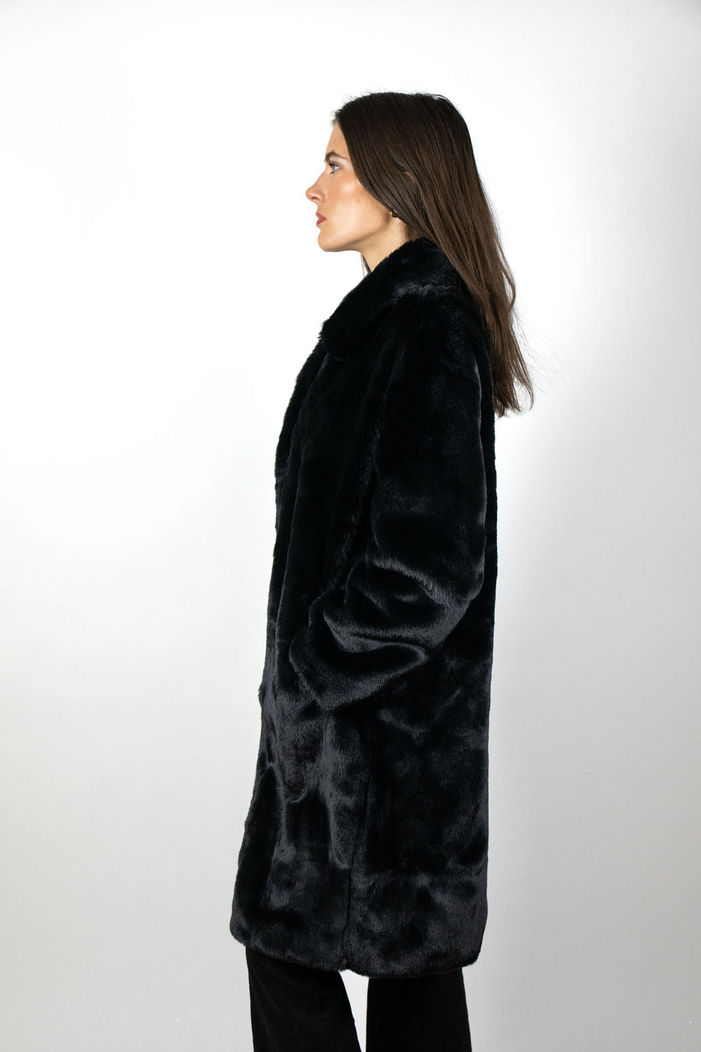 Mr Greys Coat - Dragonfly