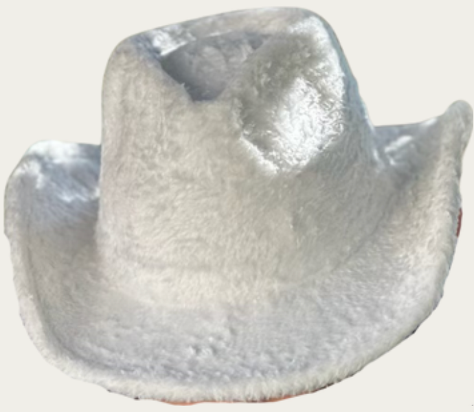 Cowboy Hat - Winter White