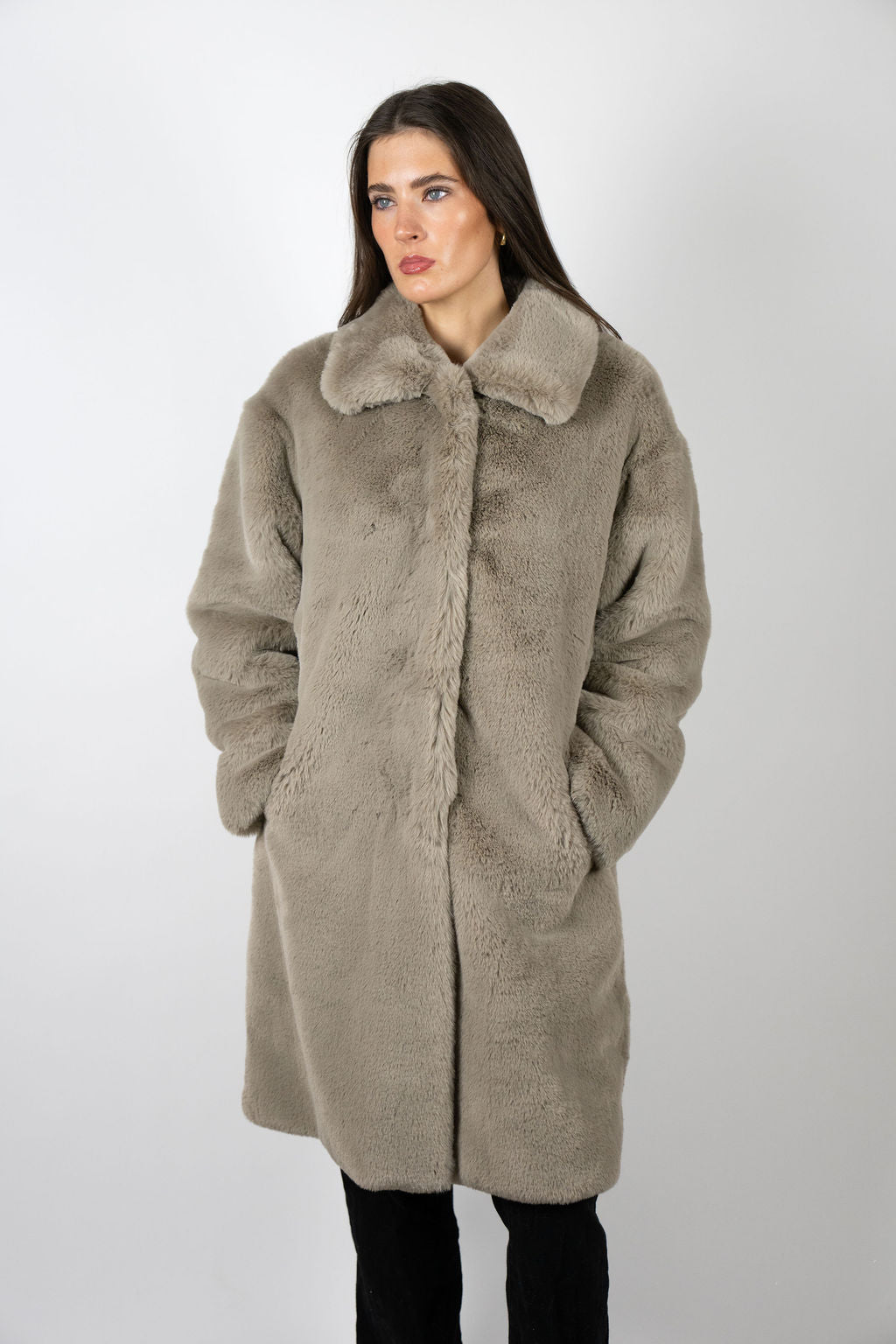 Mr Greys Coat - Trust Fund Baby