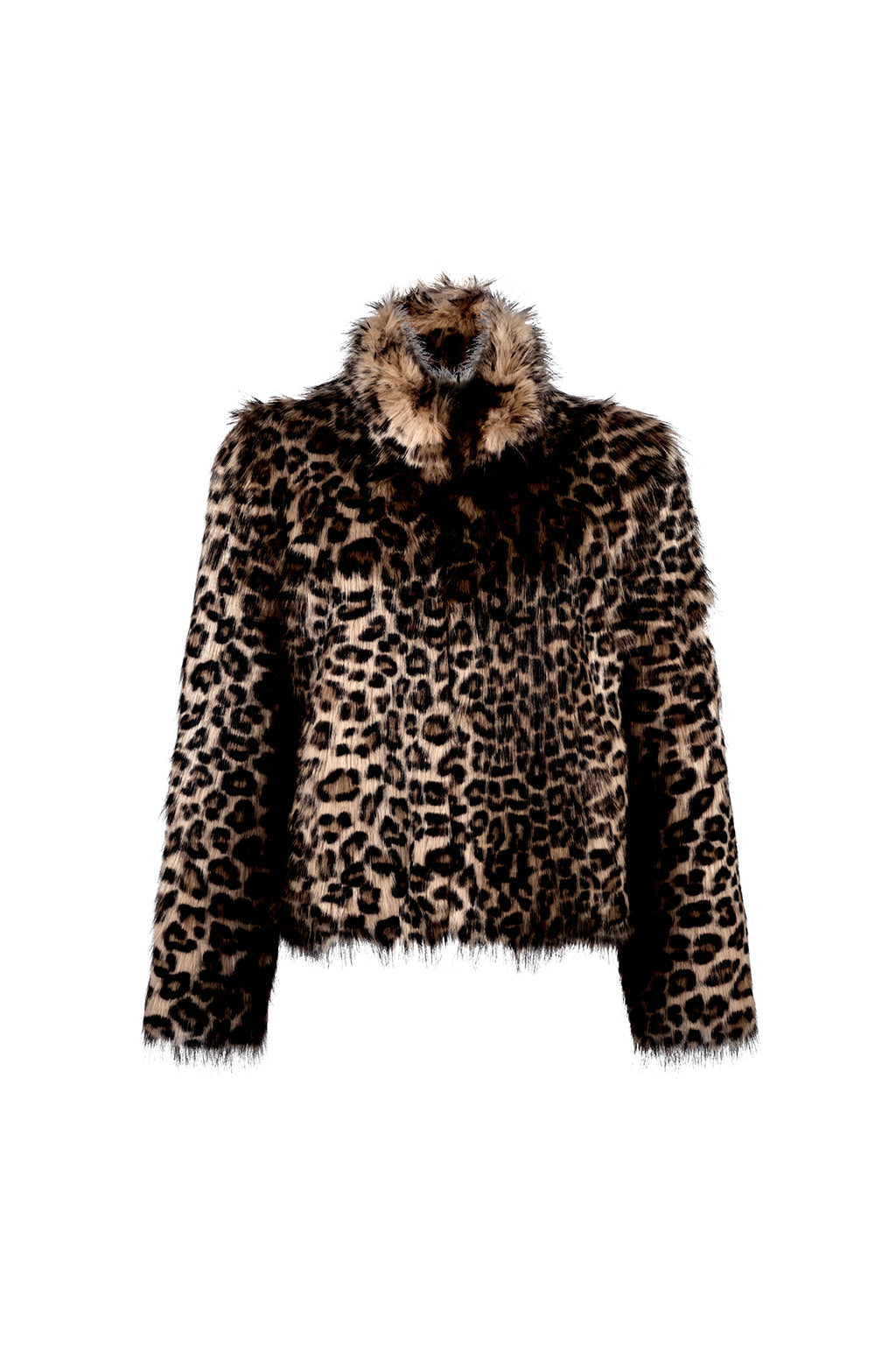 Front flat lay of Angel Wings by Lucy Leopard Crop with Skull Luxury Faux Fur Jacket – designer animal print outerwear for women